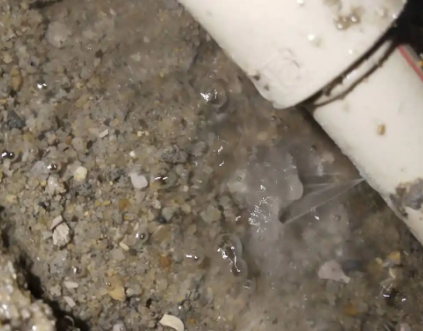 乐清测漏水电话号码