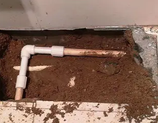 乐清测漏水哪家好