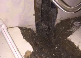 乐清卫生间测漏水哪家好