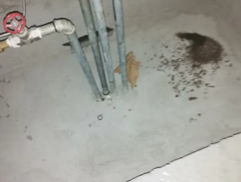 乐清卫生间测漏水价格明细