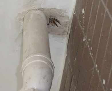 乐清漏水检测哪家好